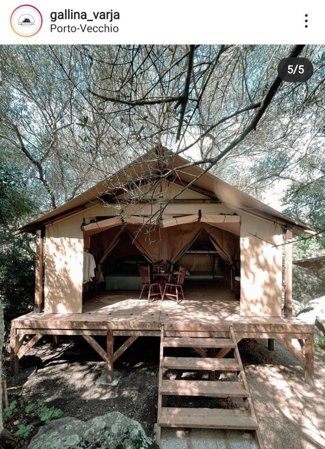 Camping Gallina Varja 소타 외부 사진